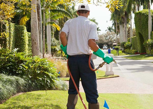 About Evergreen NC Pest Control